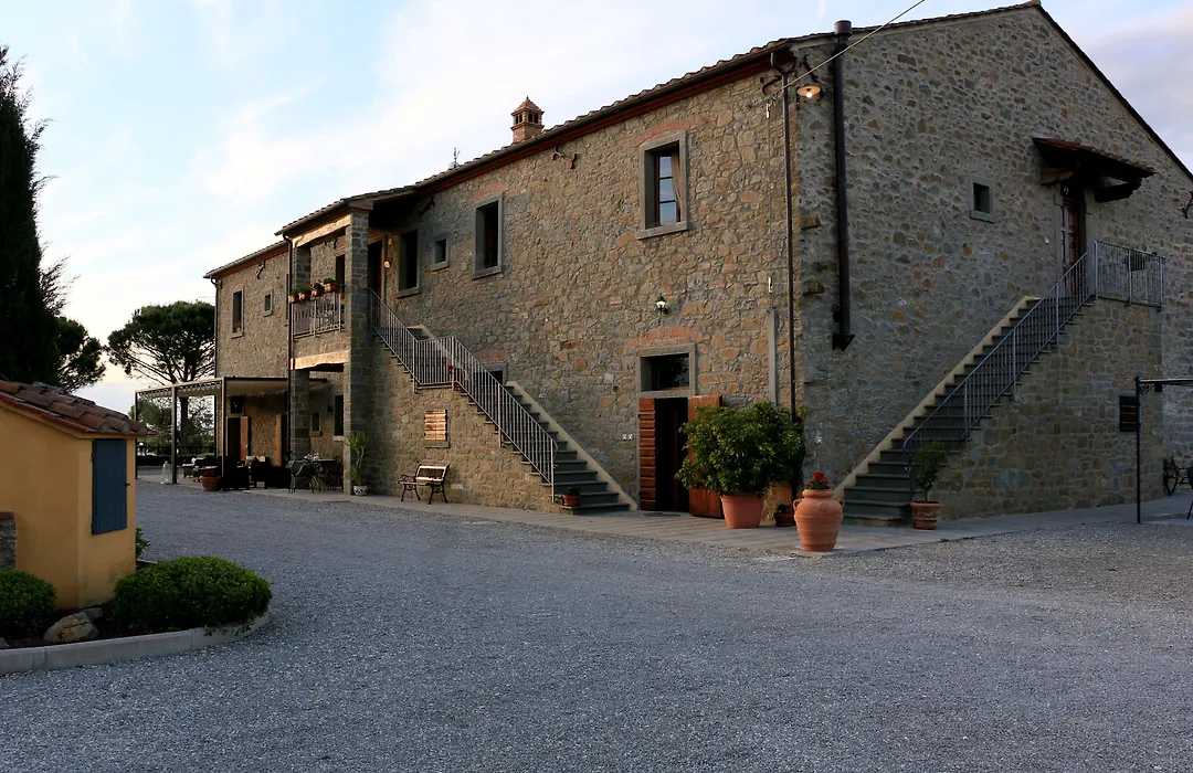 Terra Di Cortona-1