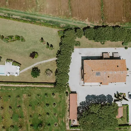 Terra Di Cortona-2