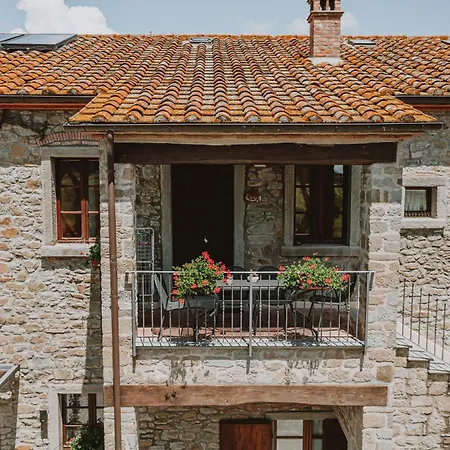 Terra Di Cortona-3